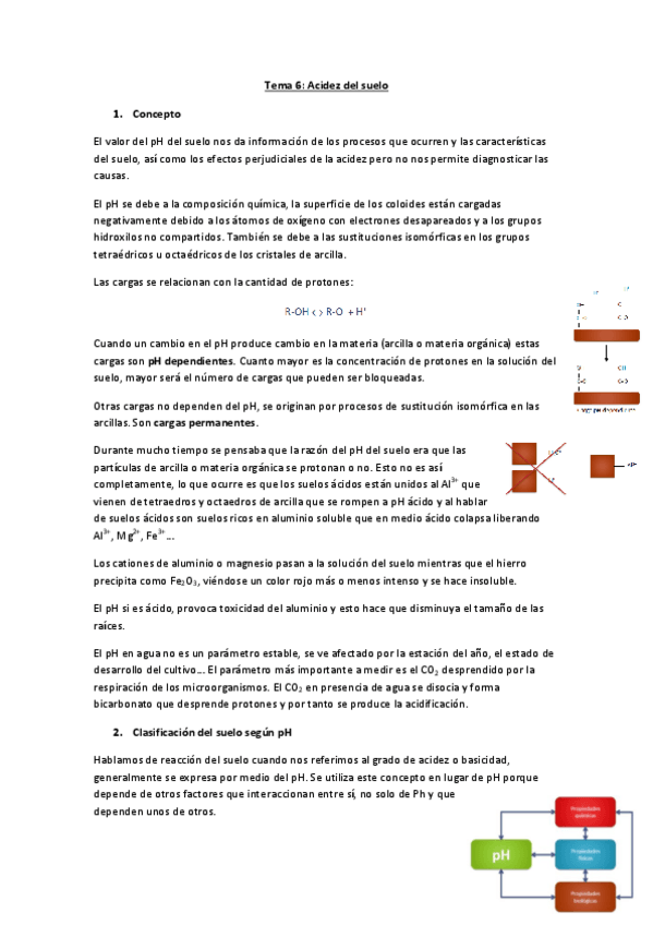 Miniatura del documento Tema 6.pdf