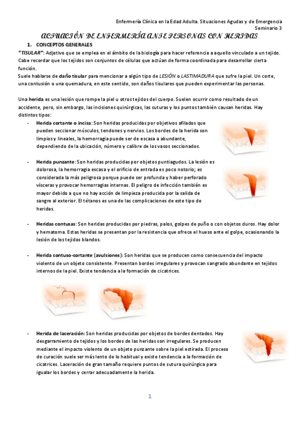 Miniatura del documento Seminario Heridas..pdf