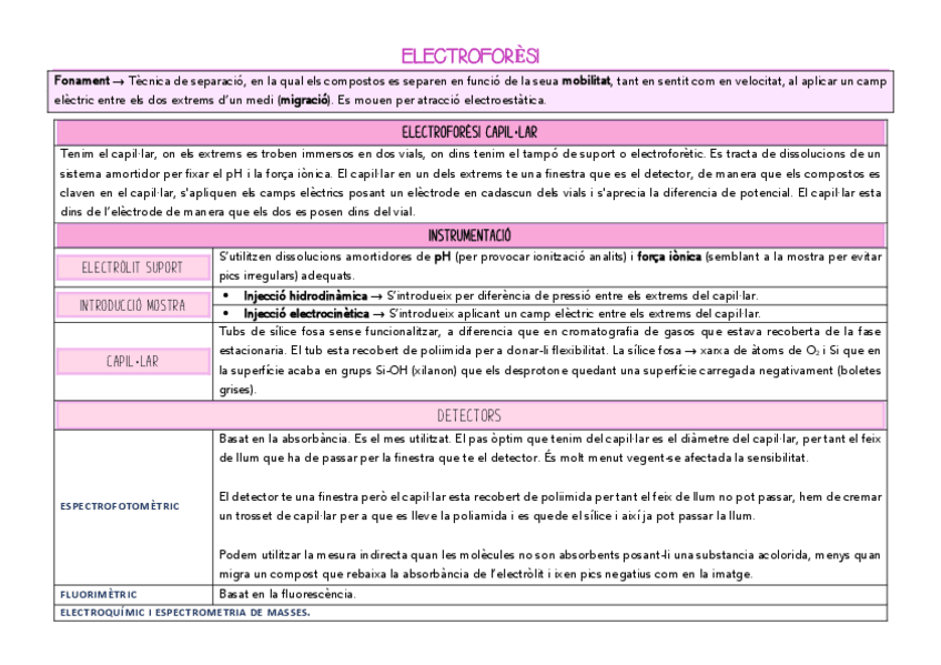 Miniatura del documento electroforèsi.pdf