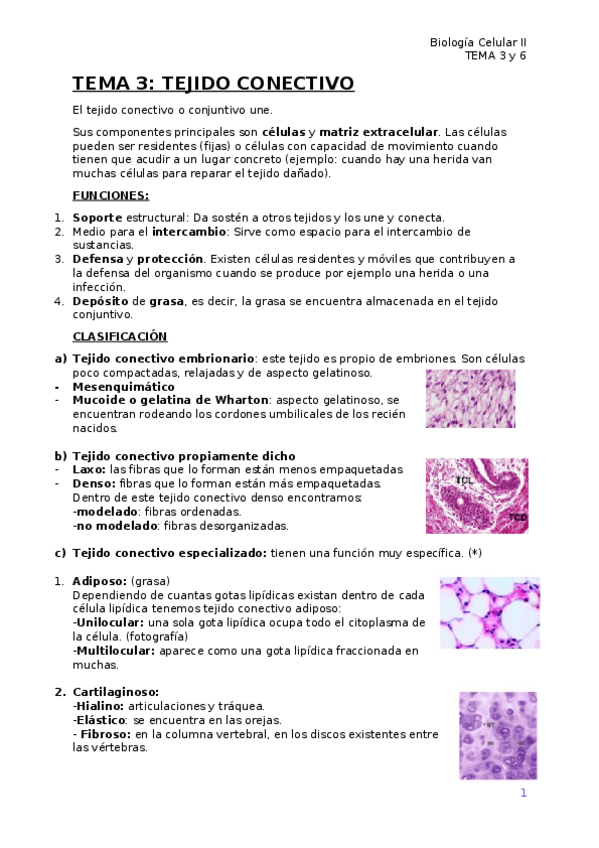 Miniatura del documento TEMA 3 Y 4.docx