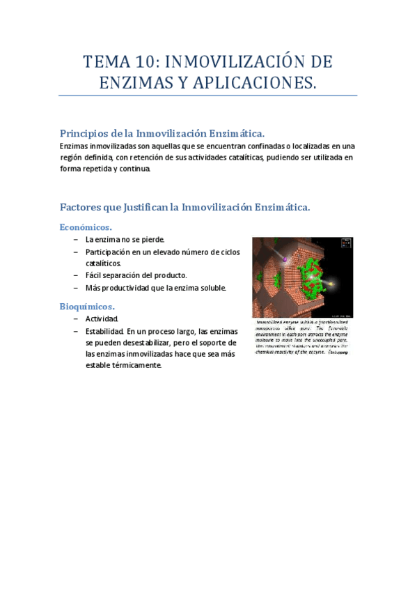 Miniatura del documento Tema 10. Inmovilización de Enzimas y Aplicaciones.pdf