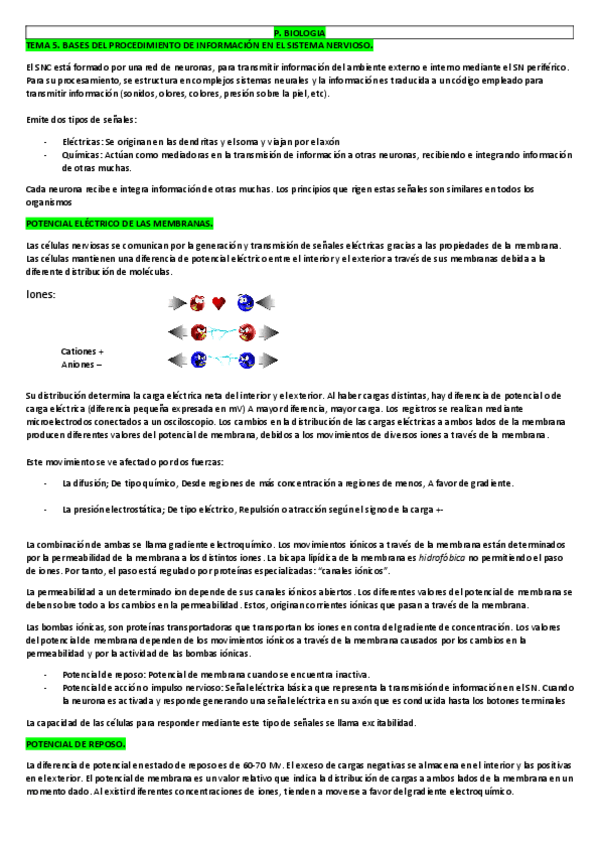 Miniatura del documento TEMA 5. Bases.pdf