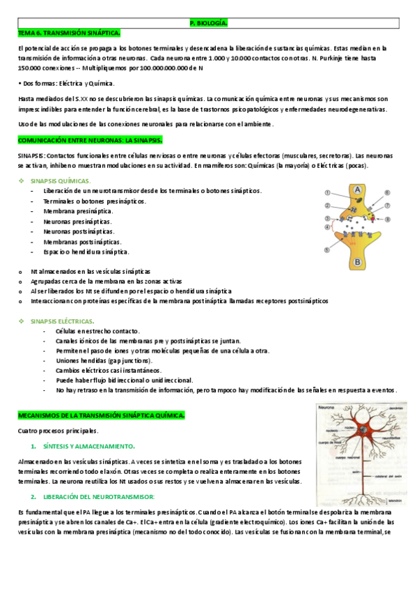 Miniatura del documento TEMA 6.pdf