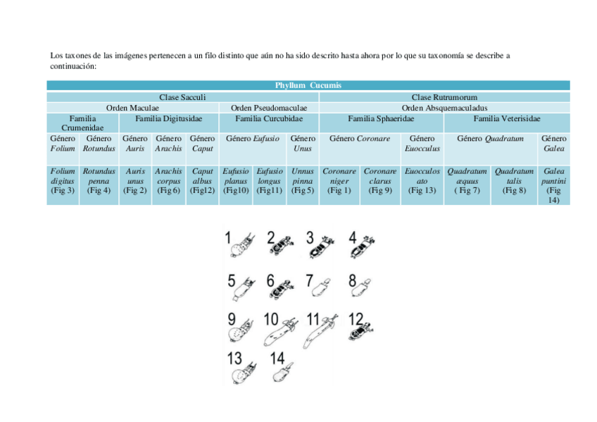 Miniatura del documento Cuestionario 1.pdf