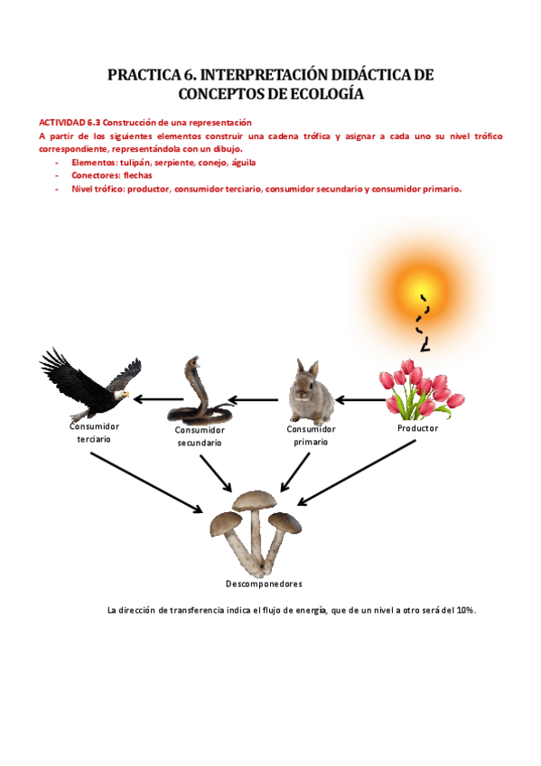 Miniatura del documento PRACTICA 6.pdf
