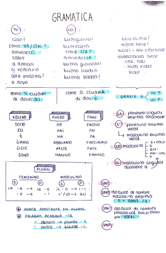 Miniatura del documento gramatica italiano.pdf