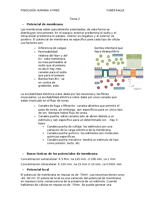 Miniatura del documento FISIOLOGIA HUMANA.docx