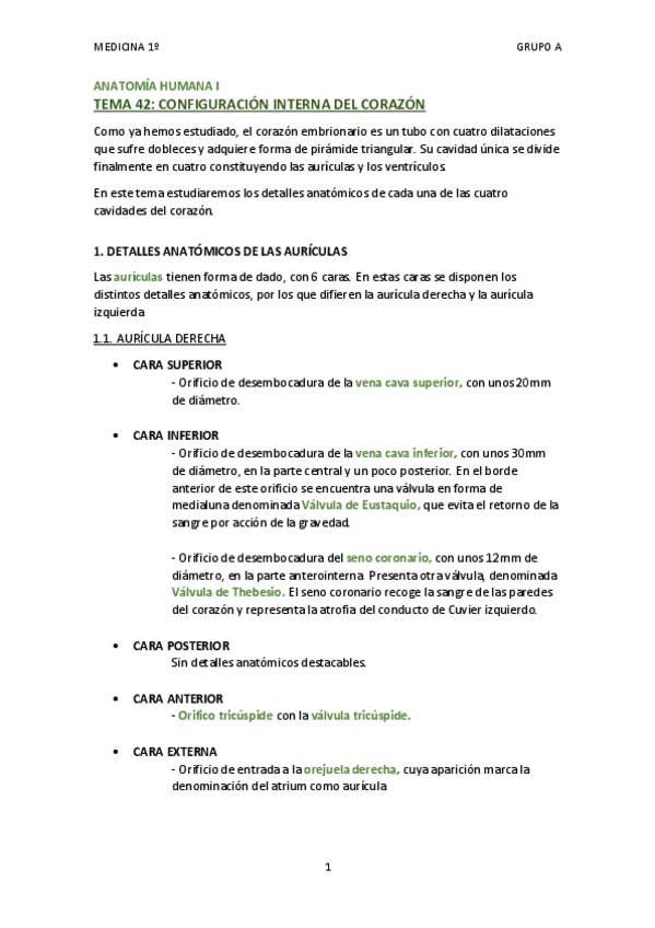 Miniatura del documento TEMA 42 - CONFIGURACIÓN INTERNA DEL CORAZÓN.pdf