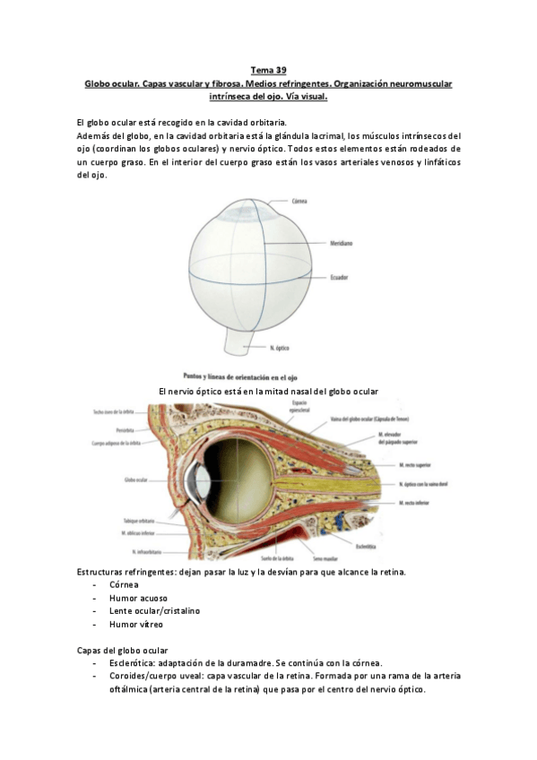 Miniatura del documento Examen - Fisiología del Ejercicio.pdf