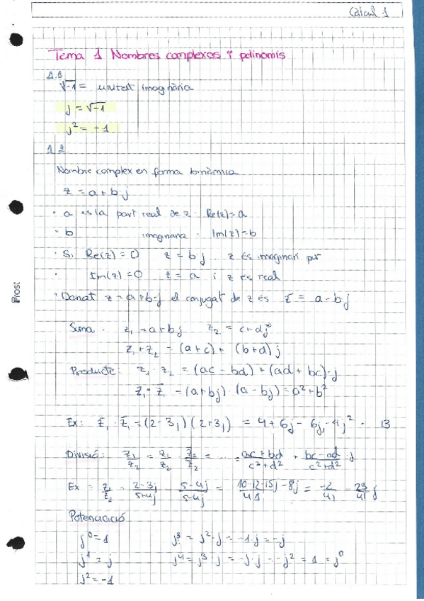 Miniatura del documento T1.Nombres complexos i polinomis.pdf