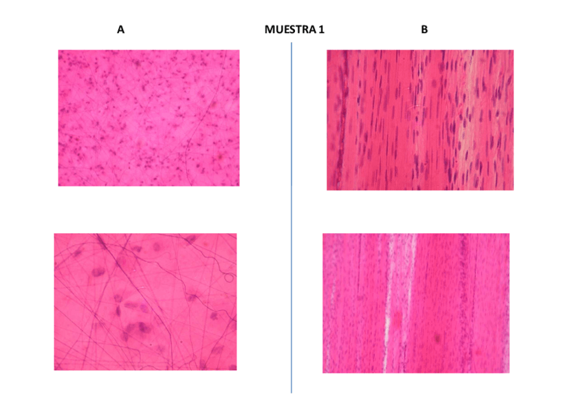 Miniatura del documento AAD_Examen_Practico.pdf