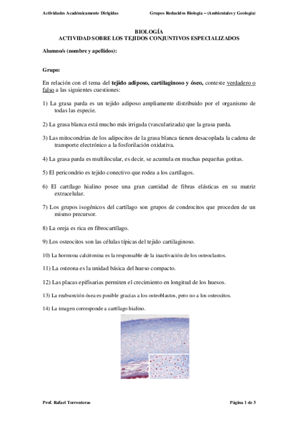 Miniatura del documento Reducido_Tejidos_Conjutivos_Especilizados.pdf