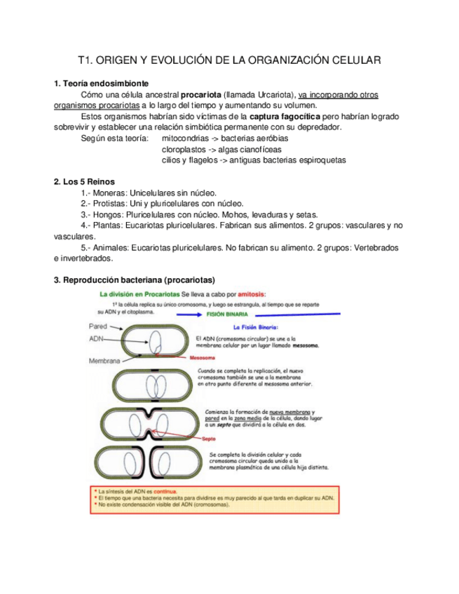 Miniatura del documento PREGUNTAS_CORTAS_DESARROLLO.pdf