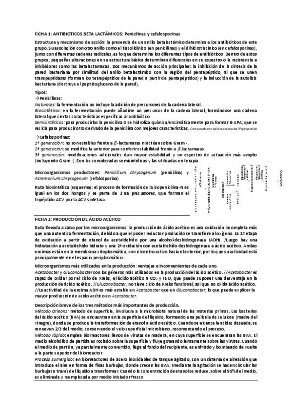 Miniatura del documento Seminarios.pdf