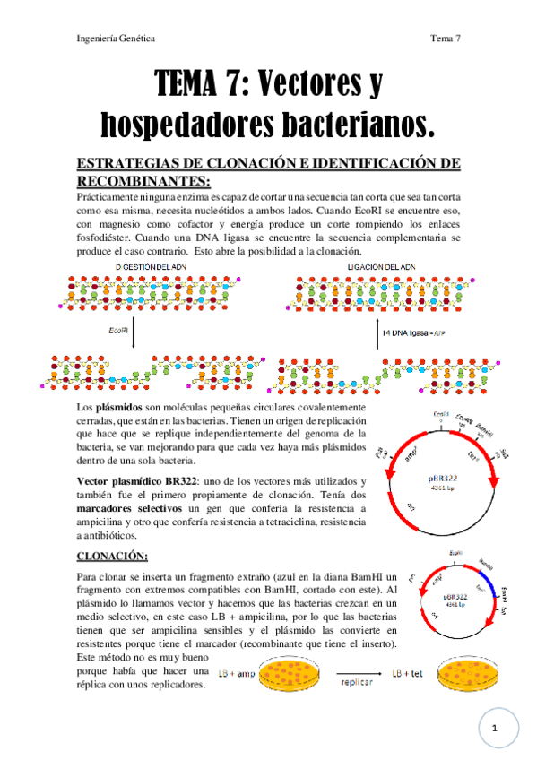 Miniatura del documento Tema 7.pdf