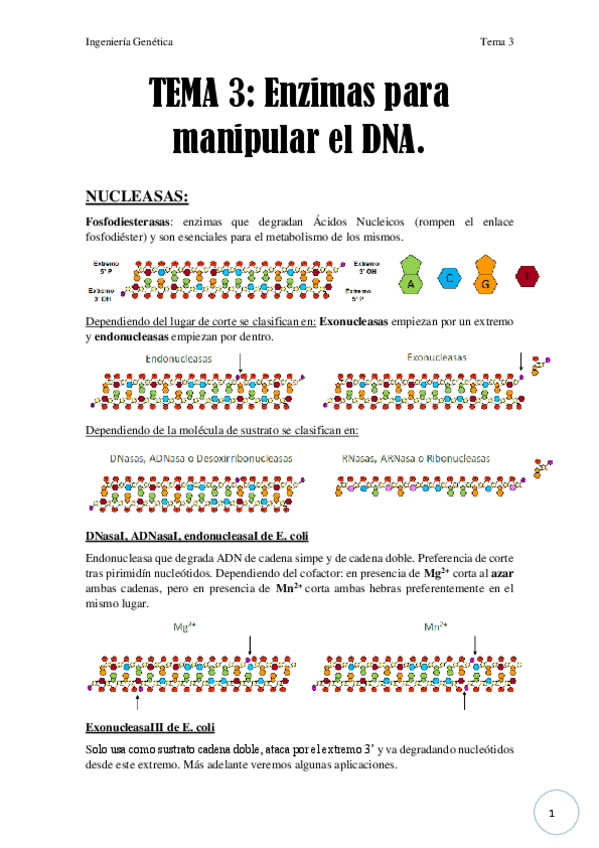 Miniatura del documento Tema 3.pdf