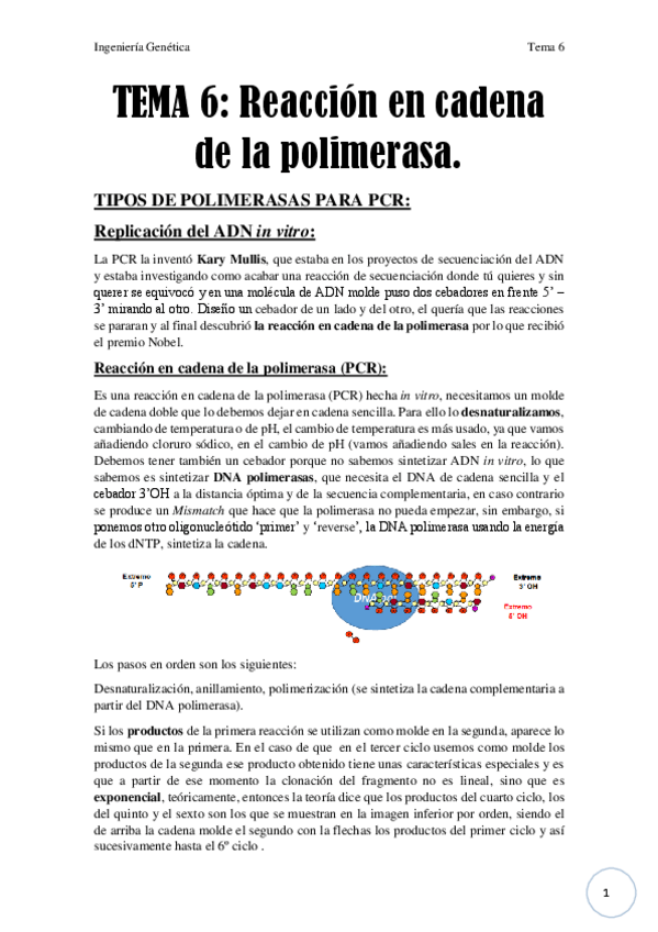 Miniatura del documento Tema 6.pdf