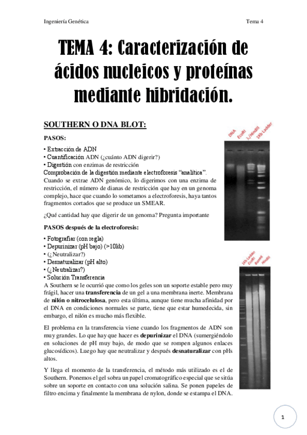 Miniatura del documento Tema 4.pdf