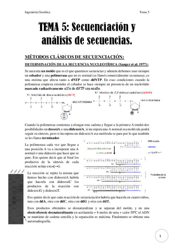 Miniatura del documento Tema 5.pdf