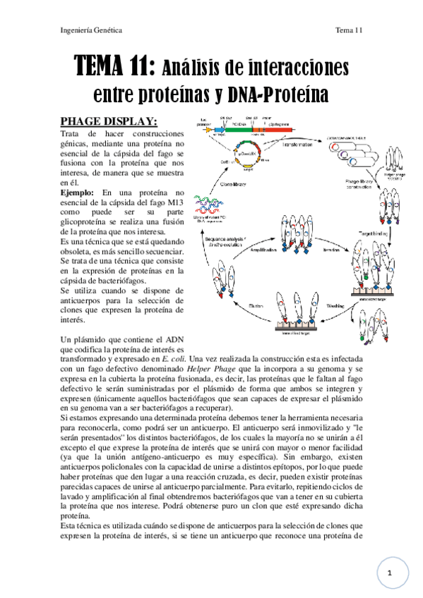 Miniatura del documento Tema 11.pdf
