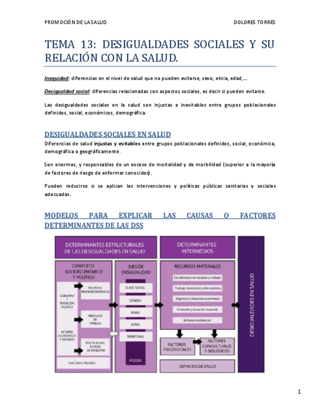 Miniatura del documento TEMA 13.pdf
