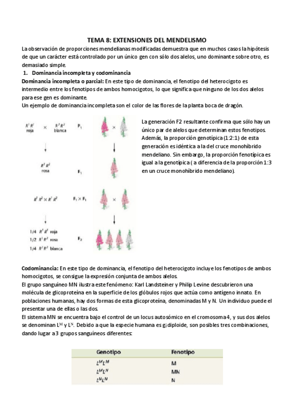 Miniatura del documento TEMA 8_ EXTENSIONES DEL MENDELISMO.pdf