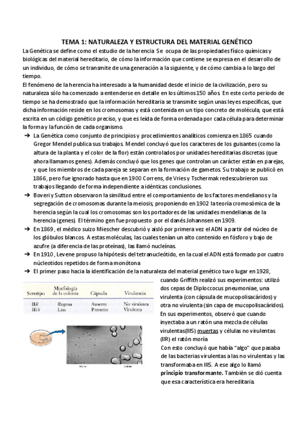 Miniatura del documento TEMA 1_ NATURALEZA Y ESTRUCTURA DEL MATERIAL GENÉTICO.pdf
