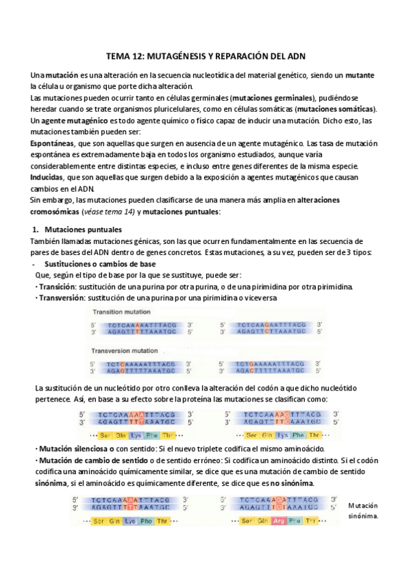 Miniatura del documento TEMA 12_ MUTAGÉNESIS Y REPARACIÓN DEL ADN.pdf
