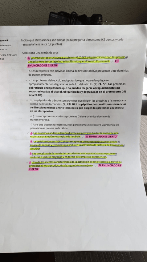 Miniatura del documento IMG-20190530-WA0003.jpg