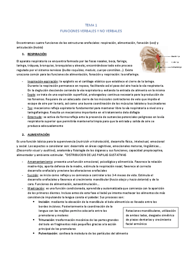 Miniatura del documento completo.pdf