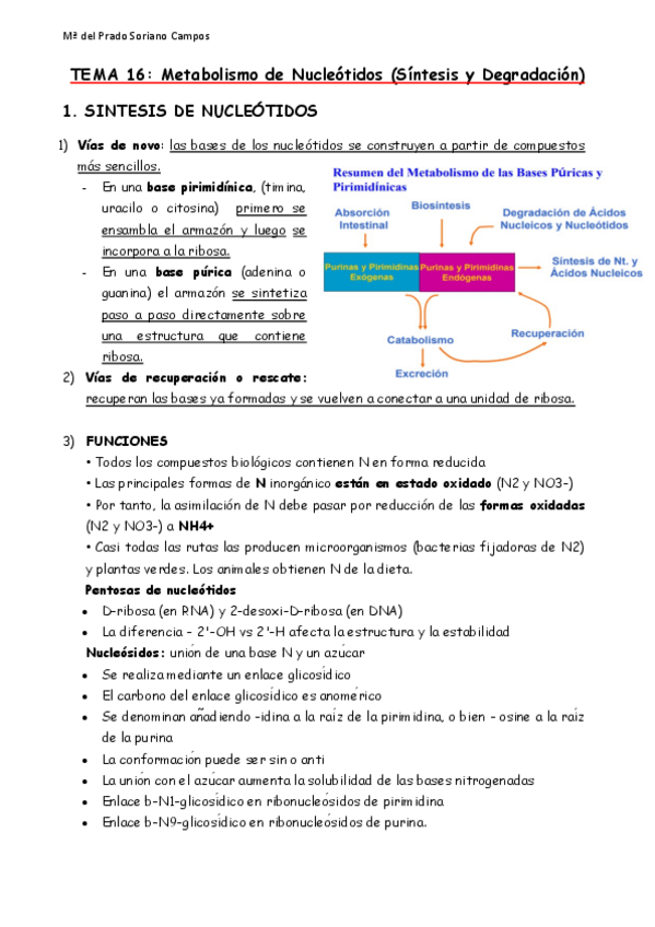 Miniatura del documento Apuntes-BIII.pdf