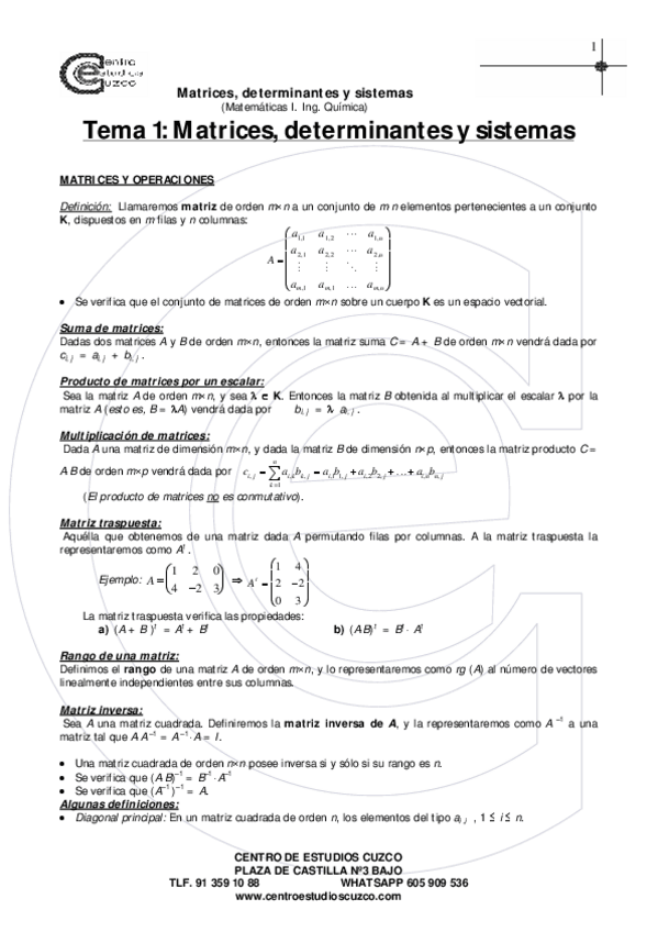 Miniatura del documento Tema 1 Matrices Determinantes y Sistemas.pdf