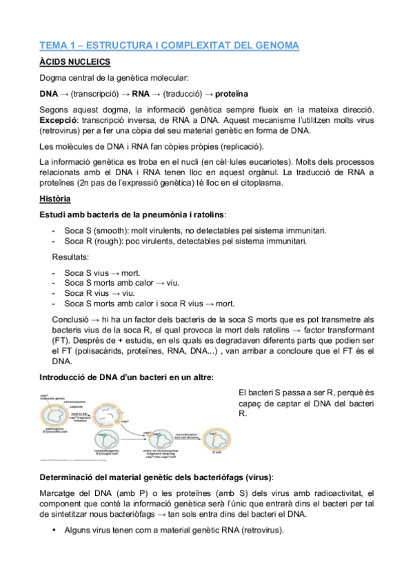 Miniatura del documento TEMA-1.pdf