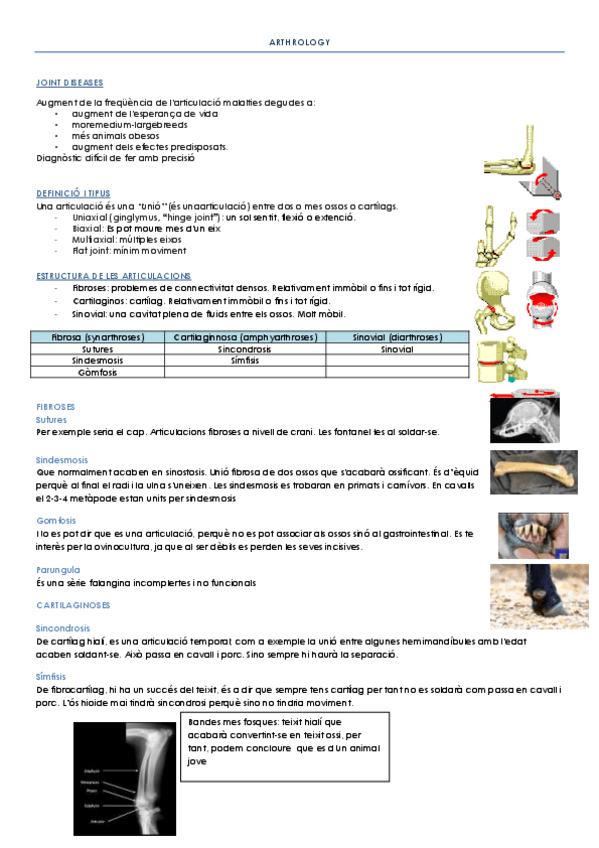 Miniatura del documento ARTHROLOGY.pdf