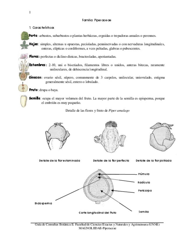Miniatura del documento Botanica.pdf