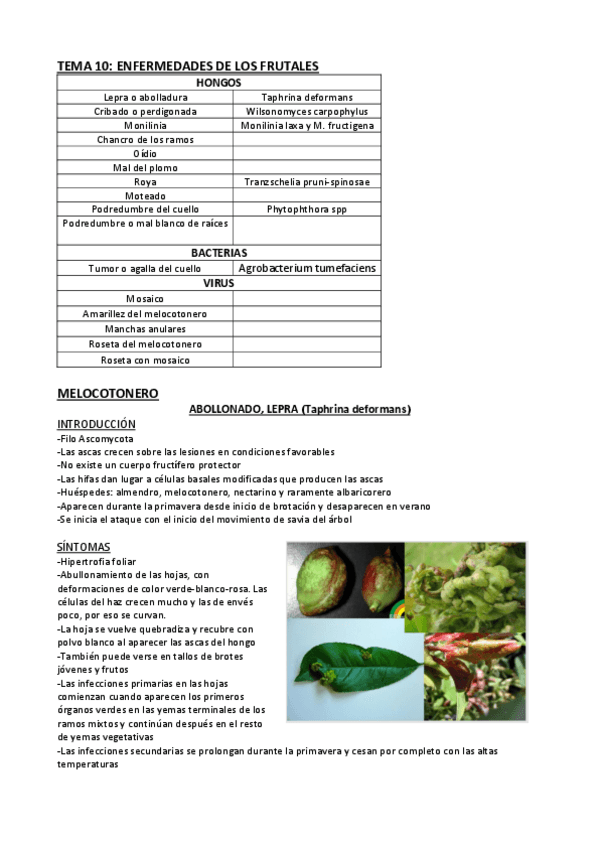 Miniatura del documento Tema-10-PC.pdf