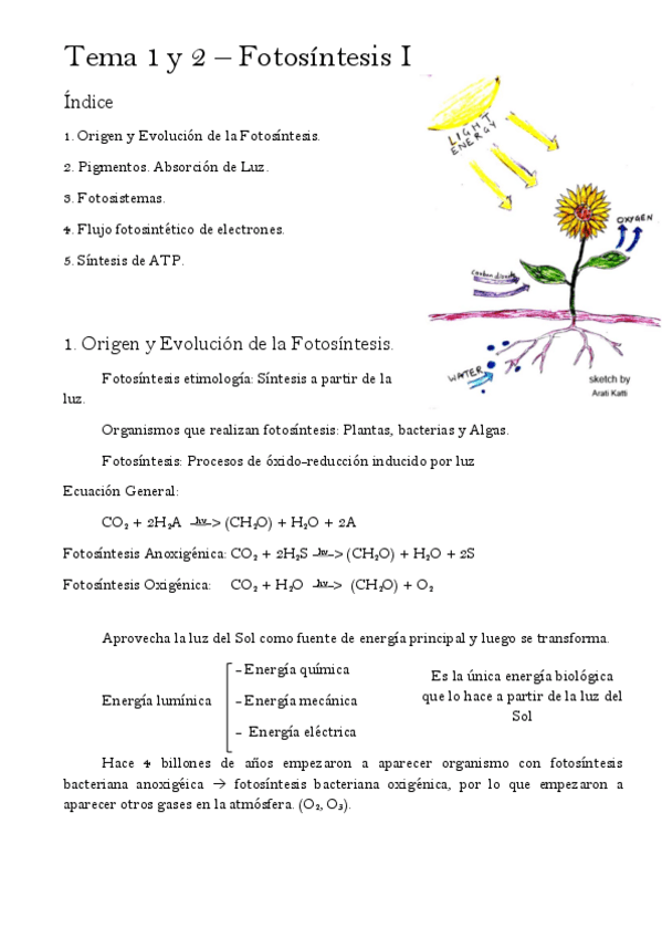 Miniatura del documento Tema-1-y-2-Fotosintesis-I.pdf