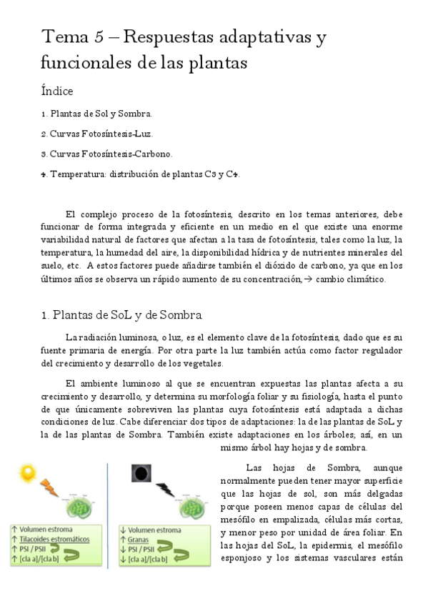Miniatura del documento Tema-5-Respuestas-adaptativas-y-funcionales-de-las-plantas.pdf