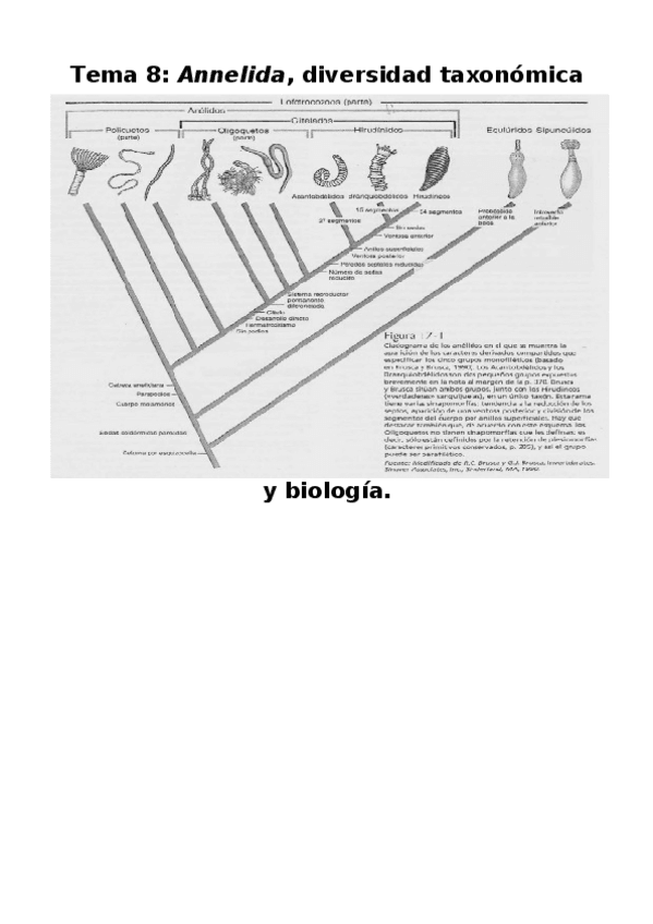 Miniatura del documento Tema-8-Annelida-diversidad-taxonomica-y-biologica.docx