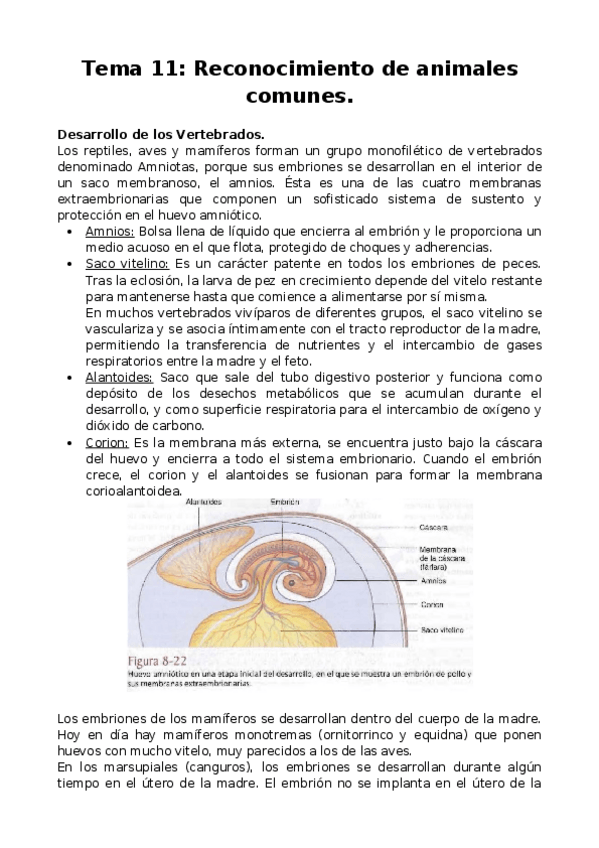 Miniatura del documento Tema-11-Reconocimiento-de-animales-comunes.docx