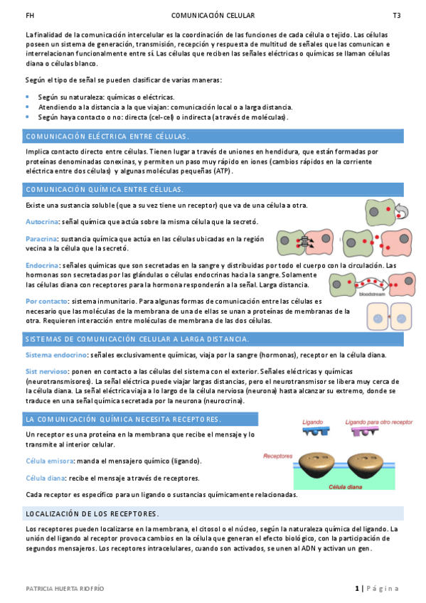 Miniatura del documento T3.pdf