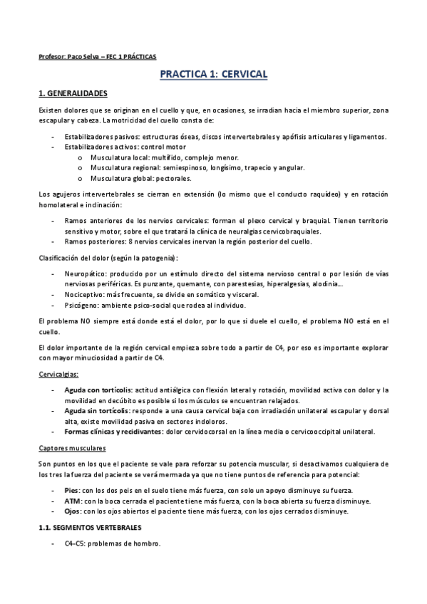 Miniatura del documento PRACTICAS-FEC1.pdf