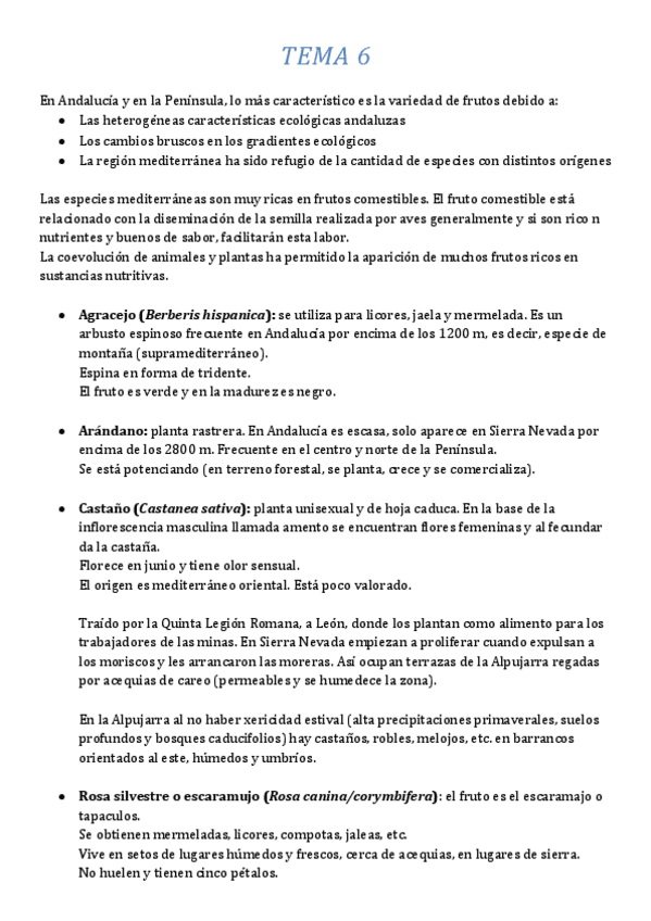 Miniatura del documento 6.pdf
