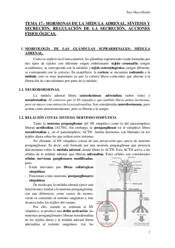 Miniatura del documento TEMA-17-HORMONAS-DE-LA-MEDULA-ADRENAL-SINTESIS-Y-SECRECION-REGULACION-DE-LA-SECRECION-ACCIONES-FISIOLOGICAS.pdf