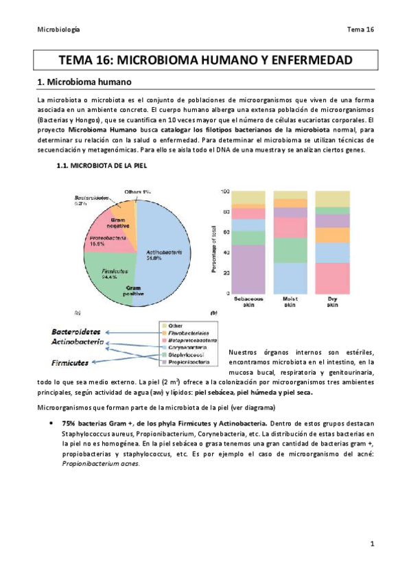 Miniatura del documento TEMA-16.pdf