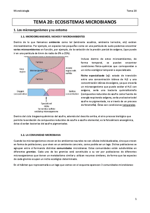 Miniatura del documento TEMA-20-MICRO.pdf