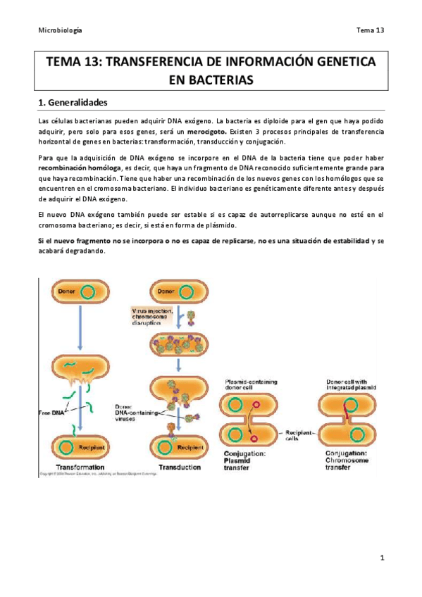 Miniatura del documento TEMA-13.pdf