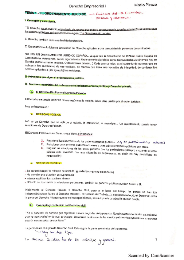 Miniatura del documento Derecho-Civil-Megamix-2018-2019-Converted-1.pdf