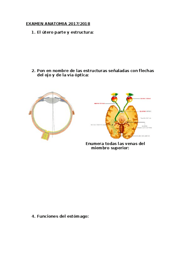 Miniatura del documento EXAMEN-ANATOMIA-2017.docx
