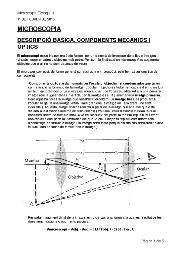 Miniatura del documento MICROSCOPIA-BIOLOGIA-II.pdf